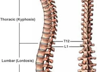 Nomenclature for Spinal Regions