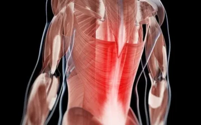 Weak Spine Muscles