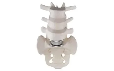 Artificial Disc Replacement
