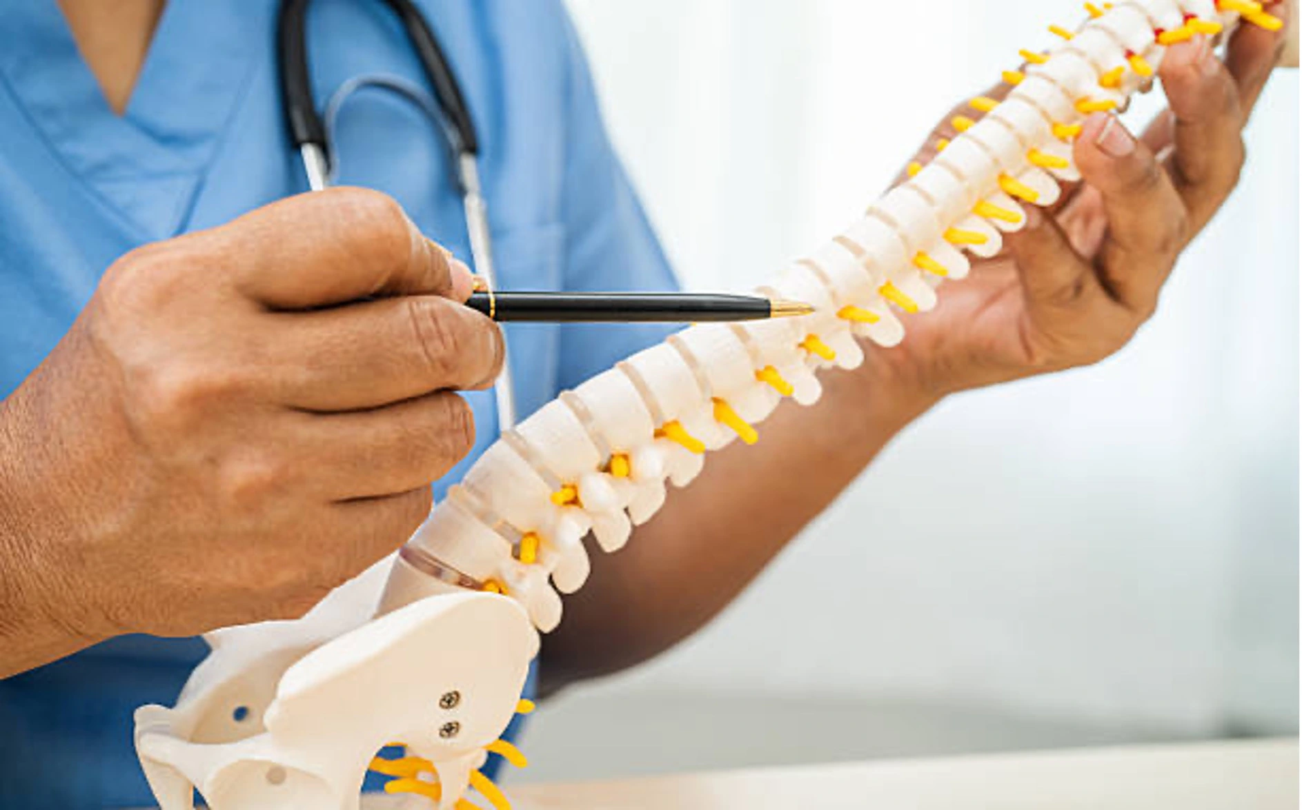 Medical professional in blue scrubs holding a spine model and pointing with a pen to explain spinal anatomy.